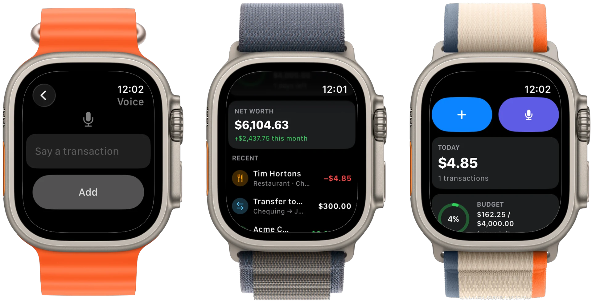 Vesi on Apple Watch Ultra: voice transaction entry, net worth with recent activity, and today's spending with budget